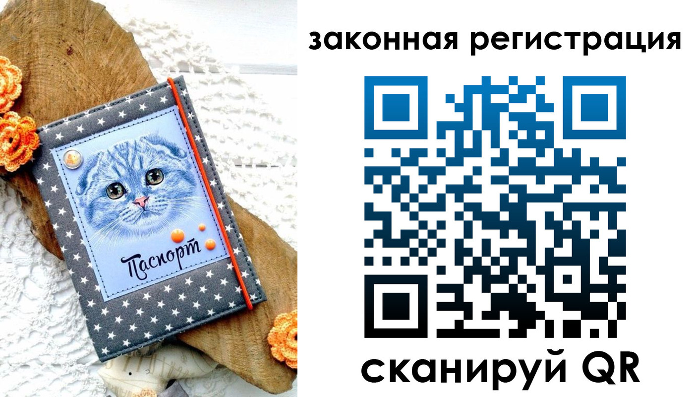 регистрация в Чапаевске